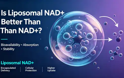 Is Liposomal NAD+ Better Than NAD+?