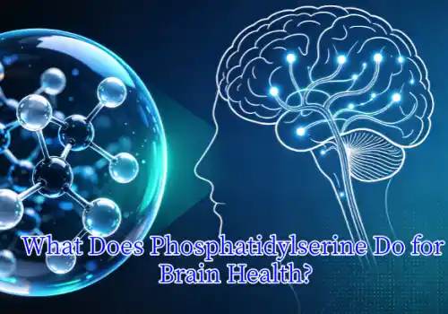 What Does Phosphatidylserine Do For Brain Health?