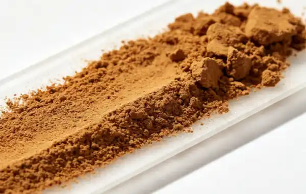 Particle Size Selection For Inonotus Obliquus Extract Powder In Different For...