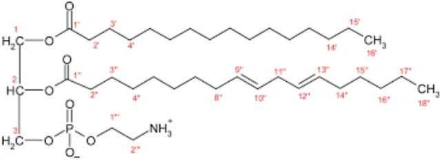 Phosphatidylethanolamine powder Phosphatidylethanolamine powder