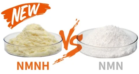 NMN vs NMNH NMN vs NMNH