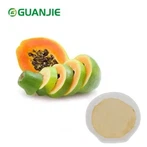Papaya Fruit Powder
