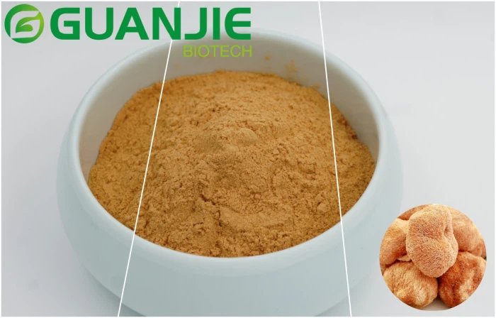 lions mane fruit body extract powder lions mane fruit body extract powder