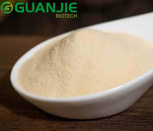 bulk guava powder bulk guava powder