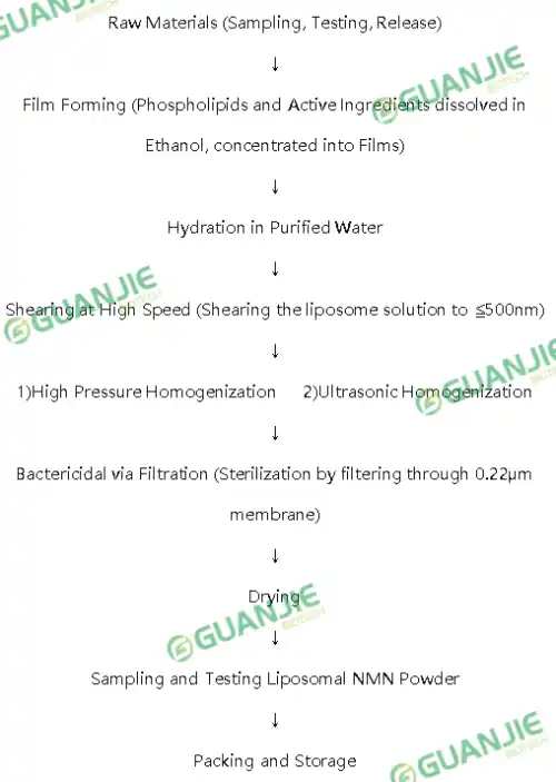 Liposomal Vitamin C Powder Production process Liposomal Vitamin C Powder Production process