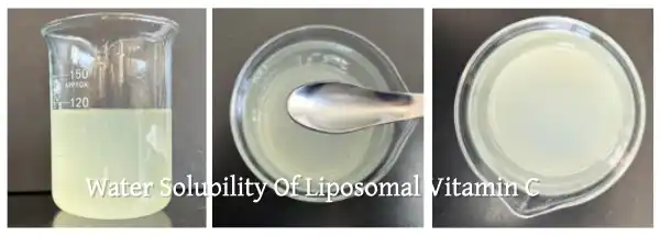 What Is The Water Solubility Of Liposomal Vitamin C What Is The Water Solubility Of Liposomal Vitamin C