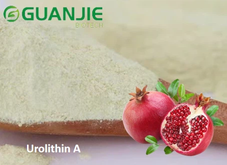 Urolithin A bulk powder Urolithin A bulk powder