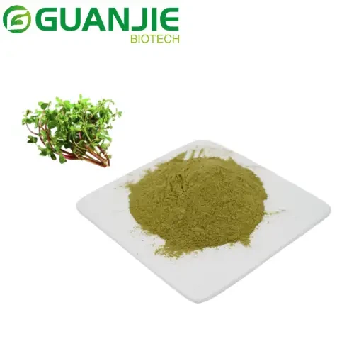 Bacopaside Powder