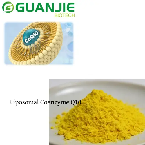Liposomal Coenzyme Q10 CoQ10