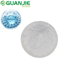 Liposomal NAD+ Powder