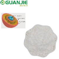 Liposomal Resveratrol Powder