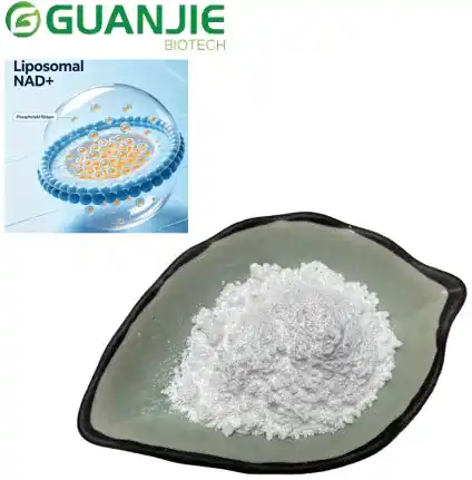 Liposome NAD Powder
