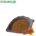 Bulk Propolis Powder