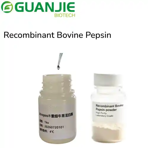 Recombinant Cow Pepsin Protein