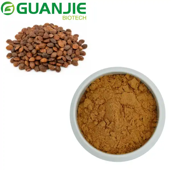 Spine Date Seed Extract Powder
